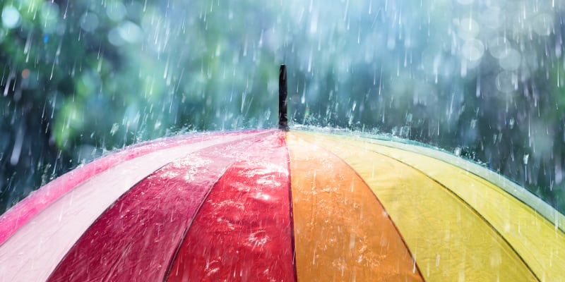 Storm Damage Cleanup in Lake County, Florida