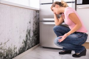 Mold FAQs