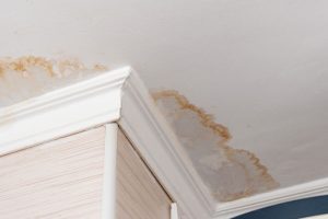 Common Causes of Water Damage