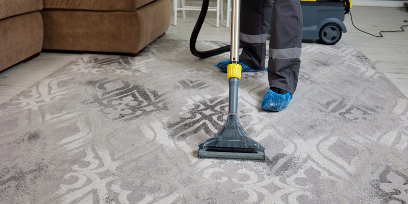 Carpet Cleaning in Tampa, Florida