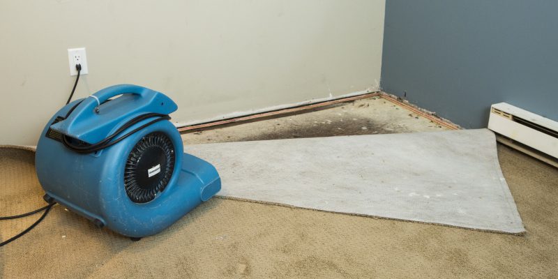 Water Removal in Tampa, Florida