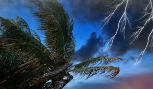 Why Timely Storm Damage Cleanup Matters