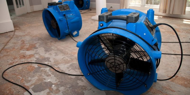 How Fast Water Damage Spreads—A Timeline After a Leak or Flood