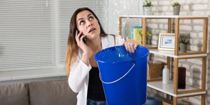 3 Reasons Why You Should Leave the Water Removal Services to the Professionals